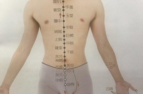 曲骨的准确位置图 女性曲骨的准确位置图