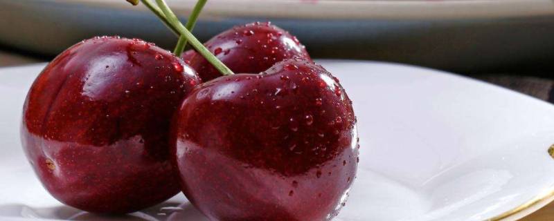 车厘子sjd是什么等级（车厘子等级划分sjd）-九图集