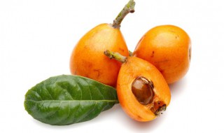 枇杷可以带皮吃吗 枇杷带皮吃还是不带皮吃-九图集