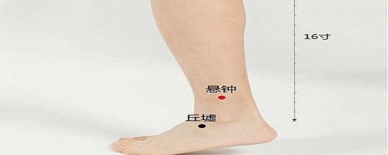 悬钟的定位和主治 悬钟的定位和主治是什么-九图集