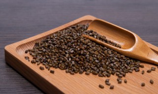 决明子茶可以长期喝吗(长期喝决明子茶会怎样)