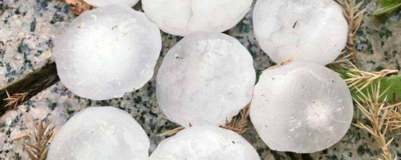 冰雹会在冬天下吗(冰雹冬天会有吗)