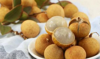 吃新鲜桂圆的禁忌 新鲜桂圆能吃吗-九图集