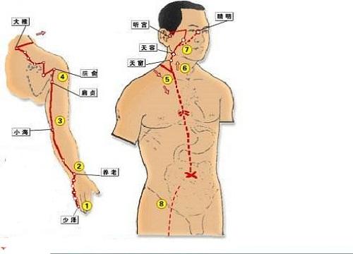 手太阳小肠经经循行图（手太阳小肠经经循行图图解）