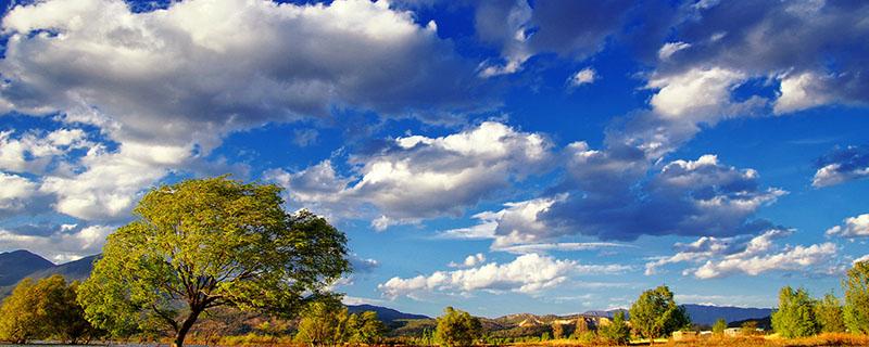 三伏天过去还会热吗(三伏天过去还会热吗吗)