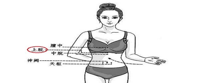 上脘的准确位置图视频(上脘中脘下脘位置图视频)