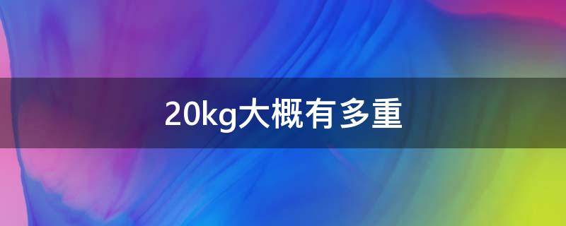 20kg大概有多重(20kg大概有多重行李)