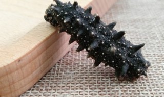 常年吃海参有什么好处（每天吃海参有什么好处和坏处）-九图集