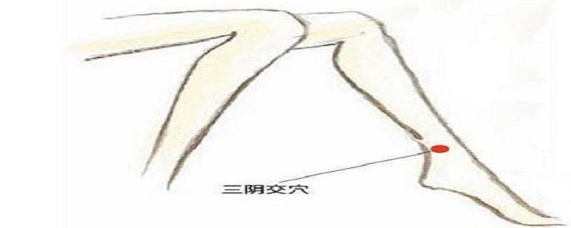 按摩三阴焦的位置图 三阴焦位置图和作用的准确位置图片女-九图集
