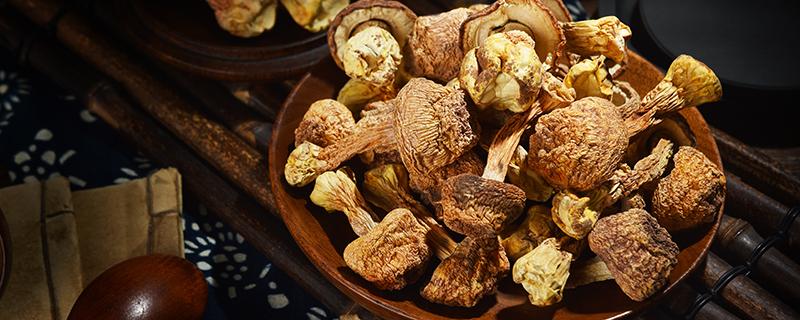 松茸有毒吗(松茸有毒吗? 生吃松茸会中毒吗?)