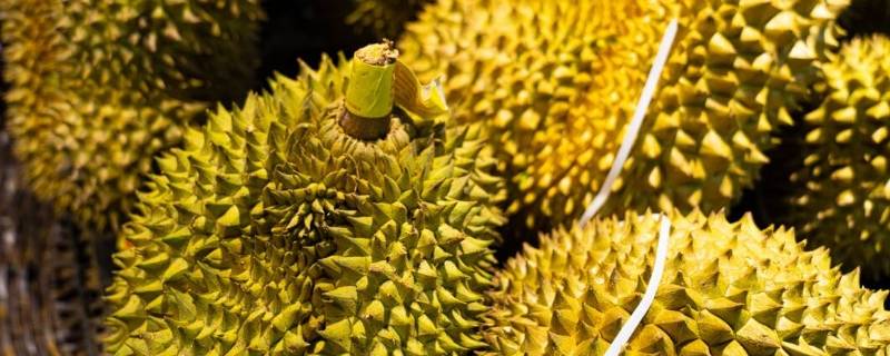 冷冻榴莲怎么吃（买的冷冻榴莲怎么吃）-九图集