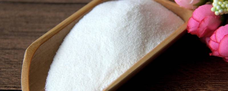 椰粉有什么营养 椰粉的营养-九图集