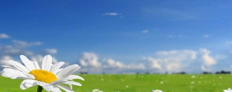 几月是春天（几月到几月是春天）-九图集