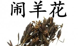 闹羊花的功效与作用(闹羊花的功效与作用及禁忌)