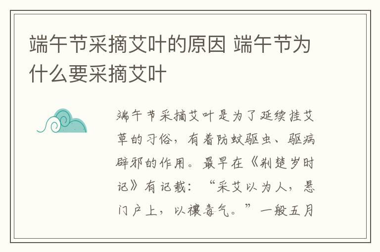 端午节采摘艾叶的原因 端午节为什么要采摘艾叶-九图集