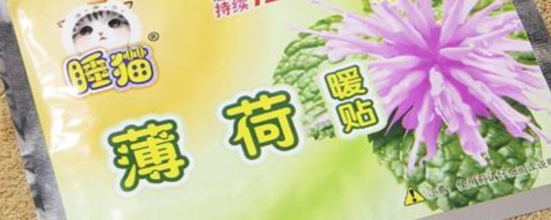 薄荷贴是干嘛用的 薄荷冷敷贴-九图集