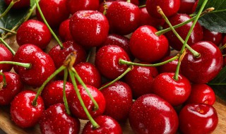 车厘子吃多了会拉肚子吗（车厘子吃多会拉肚子不?）