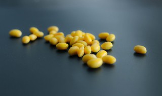 煮熟的黄豆发霉了能吃吗 煮熟的黄豆发霉了还能吃吗