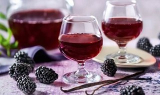 桑葚酒的营养价值（桑葚酒有什么营养价值）-九图集