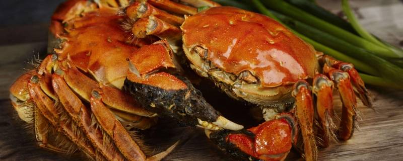 冻蟹直接蒸还是解冻蒸 冻蟹直接蒸还是解冻蒸请问亲们需要怎么清洗-九图集