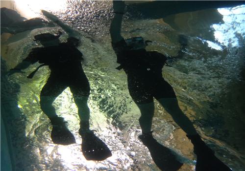 踩水怎么呼吸(踩水时候怎么呼吸)