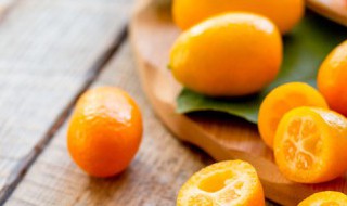 金桔冰糖水可以多喝吗(金桔冰糖水金桔能吃吗)