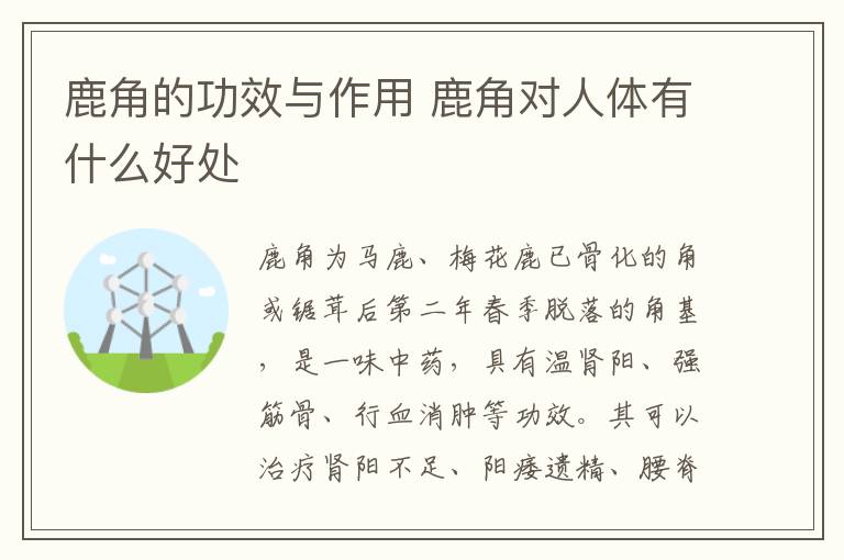 鹿角的功效与作用 鹿角对人体有什么好处
