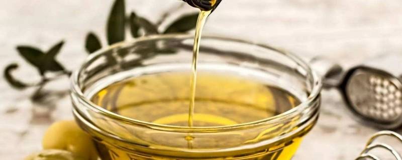 什么是棕榈油（什么是棕榈油油）-九图集