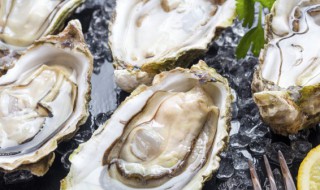 一天吃几个生蚝最好 一天吃几个生蚝合适