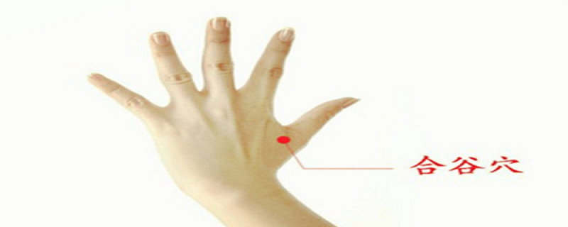 针刺合谷的作用(针灸合谷刺)-九图集