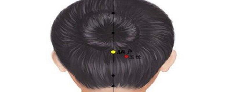 脑户的准确位置图视频（脑门的准确位置图）-九图集