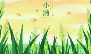 小满节气代表什么意思 节气小满是什么意思?