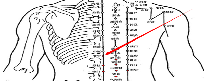 脊中位置疼是怎么回事（脊椎部位疼是怎么回事）-九图集