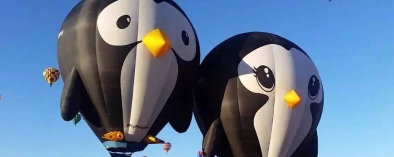 热气球的原理 初二物理热气球的原理-九图集