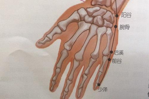 前谷准确位置图和作用 前谷准确位置图和作用百度百科-九图集