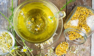 苦菊的营养价值及功效 苦菊的营养功效与作用