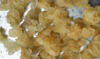 雪蛤油的功效与作用（雪蛤油的功效与作用,更年期女性有用吗）