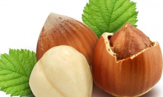 生榛子和熟榛子哪个营养价值高(生榛子和熟榛子哪个更有营养)