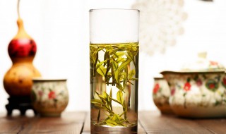 早上吃的药下午可以喝茶吗（早上吃药,下午喝茶能解药效吗）