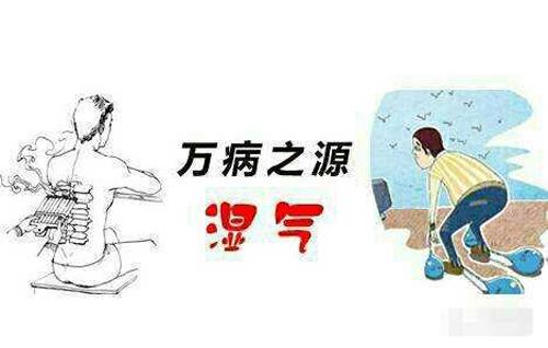 湿气重吃什么中成药 除湿的中成药