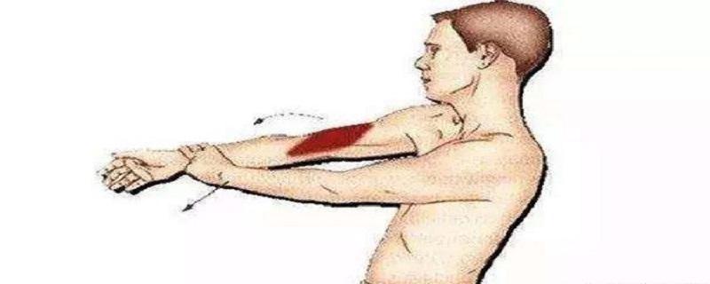 网球肘按摩手法图图片 网球肘按摩手法图