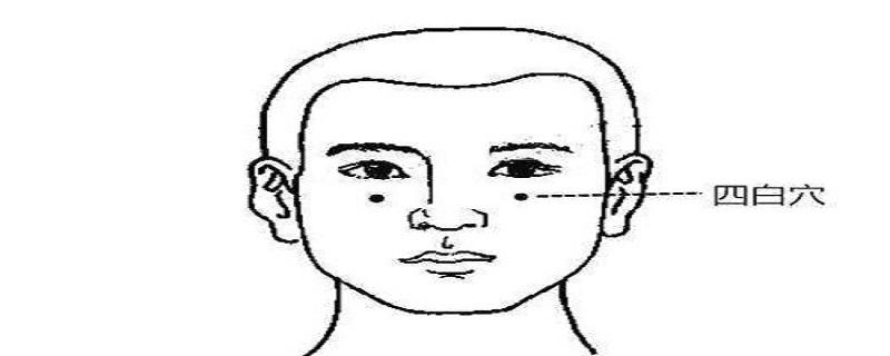 四白的准确位置图视频(四白的准确位置图视频眼个)-九图集