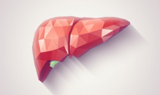 人的关键部位有哪些（人身上最重要的部位）-九图集