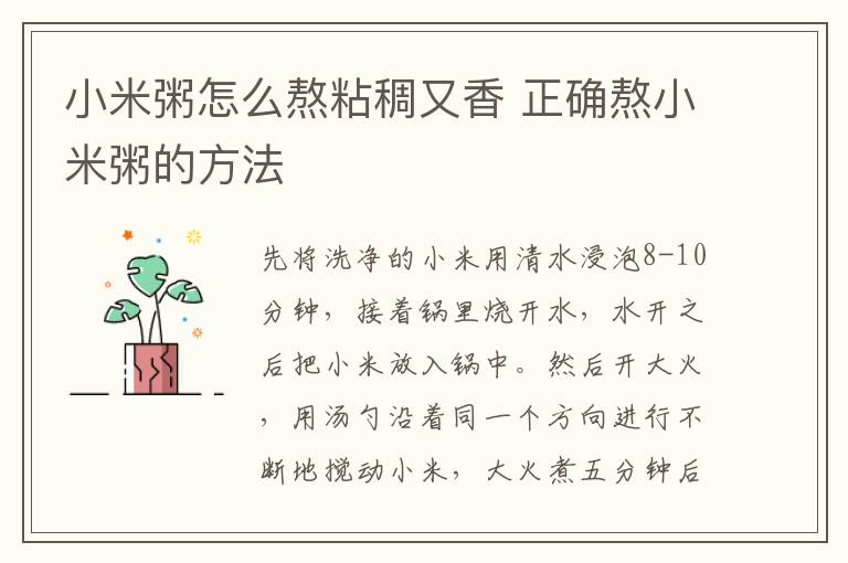 小米粥怎么熬粘稠又香 正确熬小米粥的方法-九图集