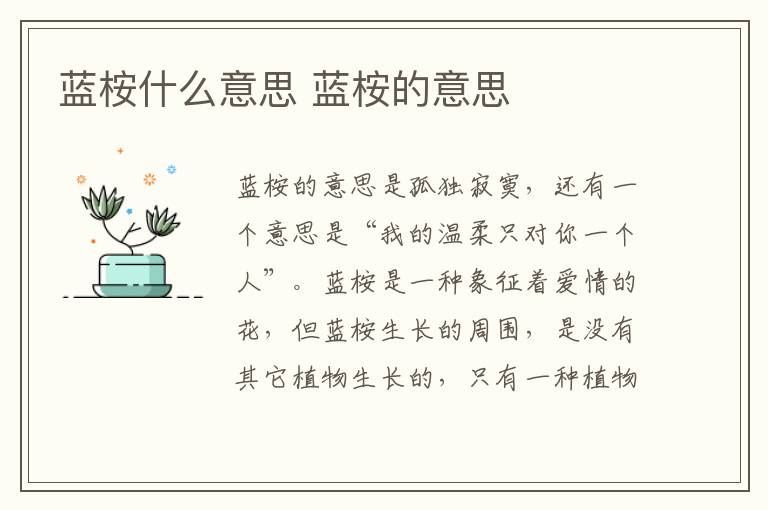 蓝桉什么意思 蓝桉的意思