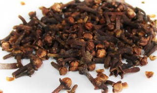 丁香的营养价值（丁香的营养价值及功效）-九图集