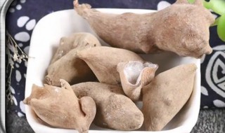 五倍子的营养价值(五倍子的药用价值和功效)