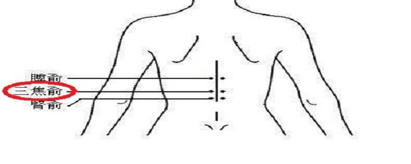 三焦俞的准确位置图 三焦俞的准确位置图片视频