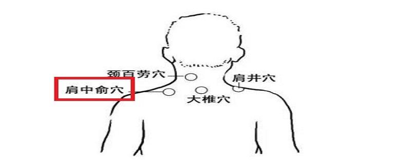 肩中俞的准确位置图 肩中俞的准确位置图片视频
