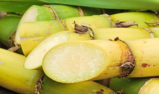 冬天吃甘蔗的好处和坏处是什么（秋冬季吃甘蔗有什么好处）